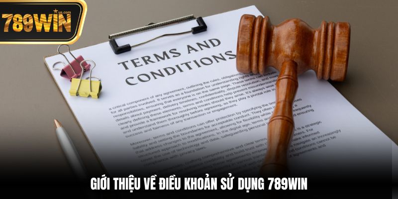 Giới thiệu về điều khoản sử dụng 789win