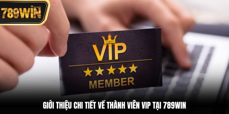 Giới thiệu chi tiết về thành viên VIP tại 789win